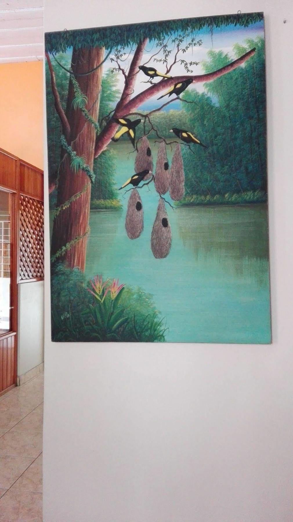 Hostal El Colibri Iquitos Kültér fotó